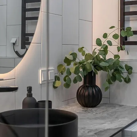 公寓 Luxury Private Near Old Town And Nature 维尔纽斯